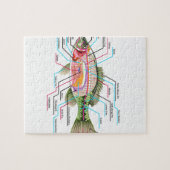 Fisch-innere Organe vektorkunst-Diagramm Anatomie Puzzle (Horizontal)