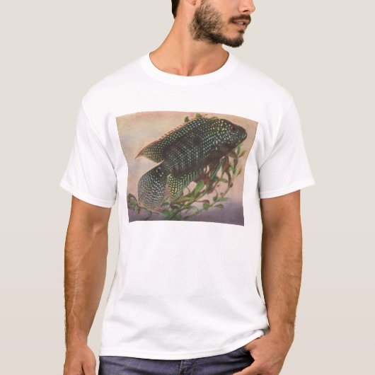 Fisch - Jack Dempsey - Archocentrus octofasciatus T-Shirt (Vorderseite)