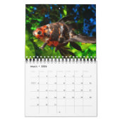 Fisch Kalender (Mär 2026)