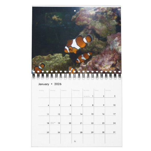 Fisch Kalender (Jan 2026)