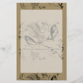 Fisch-Konstellation Hevelius 1690 auf Taupe Briefpapier (Vorderseite)