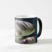 Fisch-Kunst verwandeln Tasse (VorderseiteRechts)