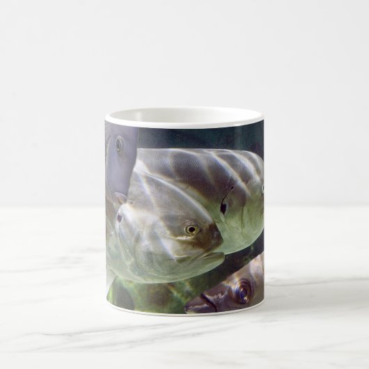 Fisch-Kunst verwandeln Tasse (Mittel)