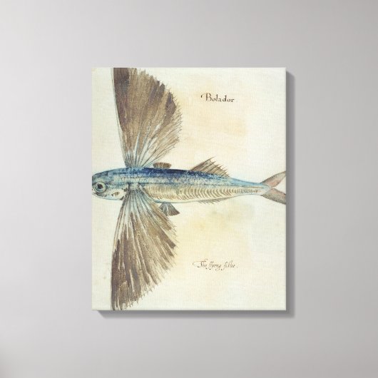 Fisch Leinwanddruck (Vorderseite)