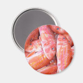 Fisch Magnet (Vorderseite/Rückseite)