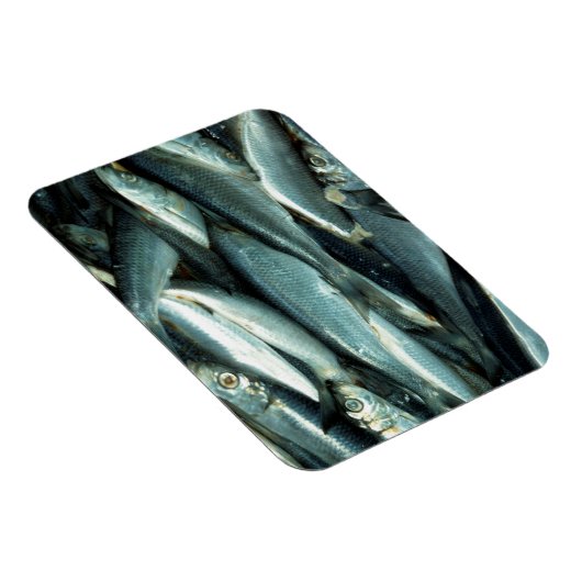 Fisch Magnet (Rechte Seite)