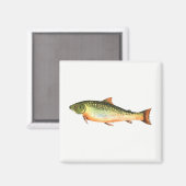 Fisch Magnet (Vorderseite/Rückseite)