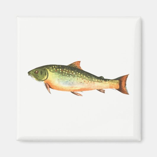 Fisch Magnet (Vorne)