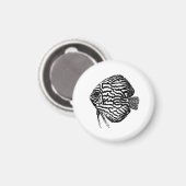 Fisch  magnet (Vorderseite/Rückseite)