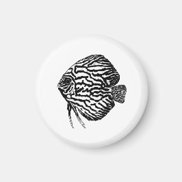 Fisch magnet