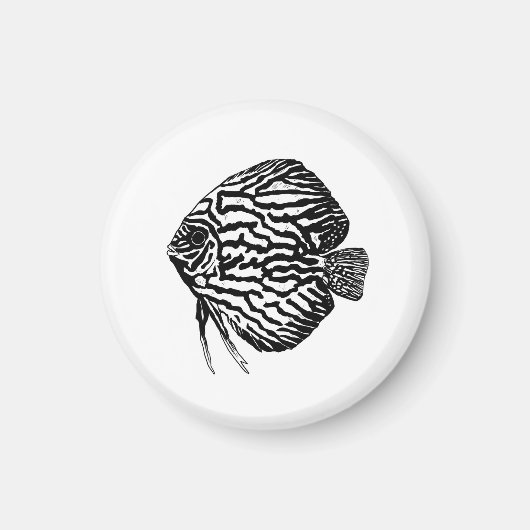 Fisch  magnet (Vorne)