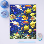 Fisch Meer Flyer (Einzeln)