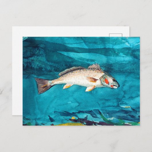 Fisch Meer von Winslow Homer Postkarte (Vorne/Hinten)