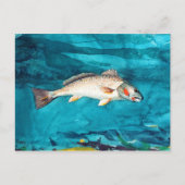 Fisch Meer von Winslow Homer Postkarte (Vorderseite)