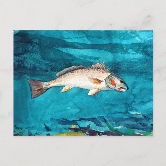Fisch Meer von Winslow Homer Postkarte (Vorderseite)
