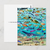 Fisch & Mehr Fisch Postkarte (Vorne/Hinten)