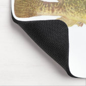 Fisch - Murray Cod - Maccullochella macquariensis Mousepad (Ecke)