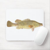 Fisch - Murray Cod - Maccullochella macquariensis Mousepad (Mit Mouse)