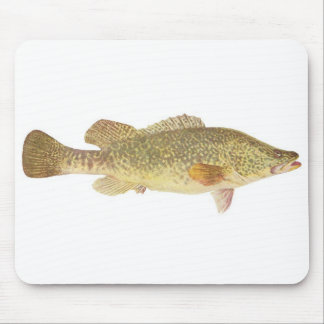 Fisch - Murray Cod - Maccullochella macquariensis Mousepad