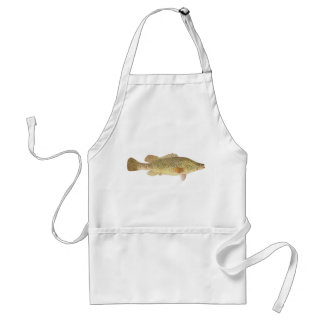 Fisch - Murray Cod - Maccullochella macquariensis Schürze