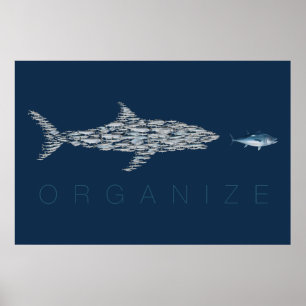 Fisch organisieren poster