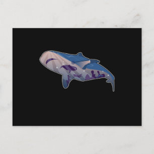 Fisch Ozean Design Wal Schwimmen Siegel Fun Sea Ge Postkarte