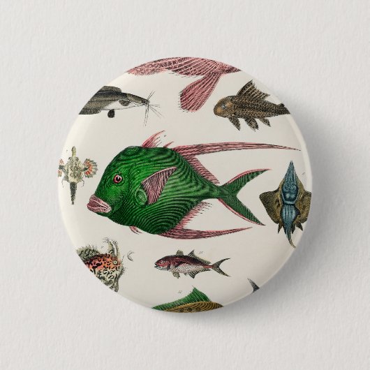 Fisch, Ozean, niedlich, Meer, Wasser, Tier, Fische Button (Vorderseite)