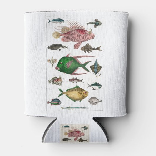 Fisch, Ozean, niedlich, Meer, Wasser, Tier, Fische Dosenkühler (Vorderseite)