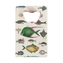 Fisch, Ozean, niedlich, Meer, Wasser, Tier, Fische Geldbeutel Flaschenöffner