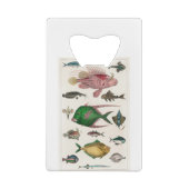 Fisch, Ozean, niedlich, Meer, Wasser, Tier, Fische Geldbeutel Flaschenöffner (Rückseite)