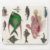 Fisch, Ozean, niedlich, Meer, Wasser, Tier, Fische Mousepad (Vorne)