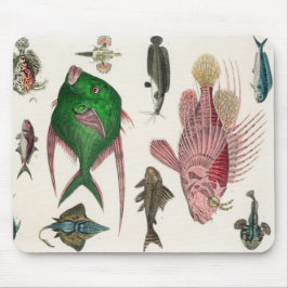 Fisch, Ozean, niedlich, Meer, Wasser, Tier, Fische Mousepad