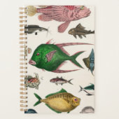 Fisch, Ozean, niedlich, Meer, Wasser, Tier, Fische Planer (Vorderseite)