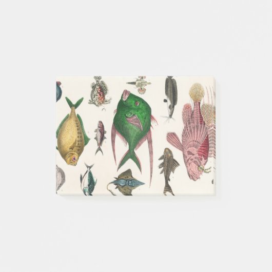 Fisch, Ozean, niedlich, Meer, Wasser, Tier, Fische Post-it Klebezettel (Vorderseite)