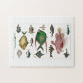 Fisch, Ozean, niedlich, Meer, Wasser, Tier, Fische Puzzle (Horizontal)