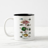 Fisch, Ozean, niedlich, Meer, Wasser, Tier, Fische Zweifarbige Tasse (Links)