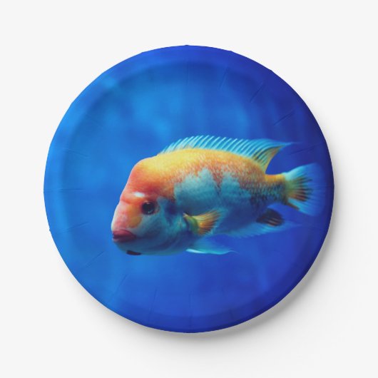 Fisch Pappteller (Vorderseite)
