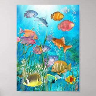 Fisch Poster