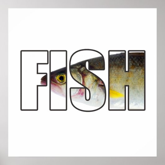Fisch Poster (Vorne)