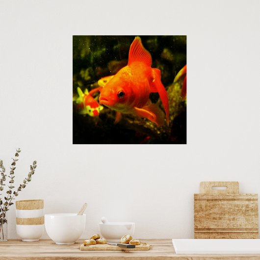 Fisch Poster (Küche)