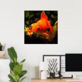 Fisch Poster (Heimbüro)
