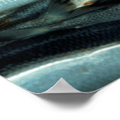 Fisch Poster (Ecke)