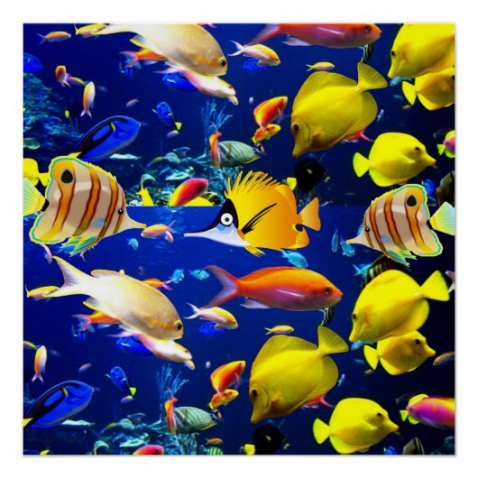 Fisch Poster Strandhaus Poster (Vorderseite)