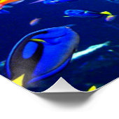 Fisch Poster Strandhaus Poster (Ecke)