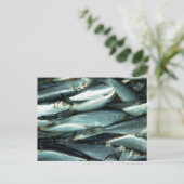 Fisch Postkarte (Stehend Vorderseite)