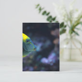 Fisch Postkarte (Stehend Vorderseite)