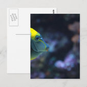 Fisch Postkarte (Vorne/Hinten)