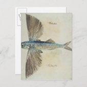 Fisch Postkarte (Vorne/Hinten)
