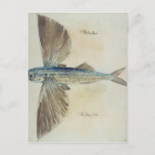 Fisch Postkarte (Vorderseite)