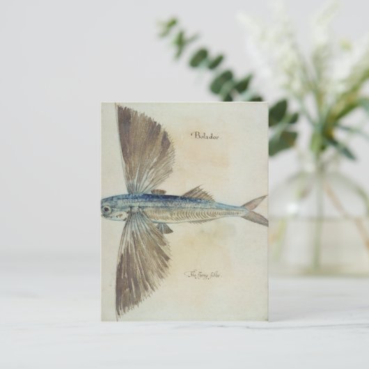 Fisch Postkarte (Stehend Vorderseite)